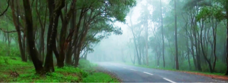 Ponmudi Hill Station